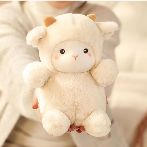 Cute Doll Birthday Gift